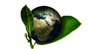 Effusivité thermique de matériaux biosourcés