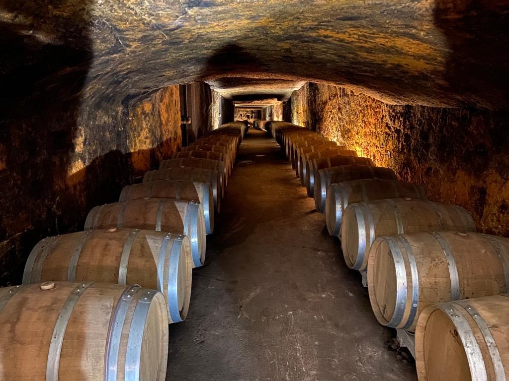 Cave Château de Marsan Imprimez votre futur