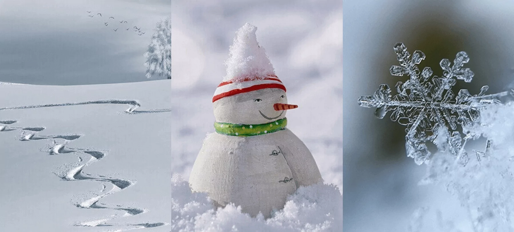 Conductivité thermique de la neige