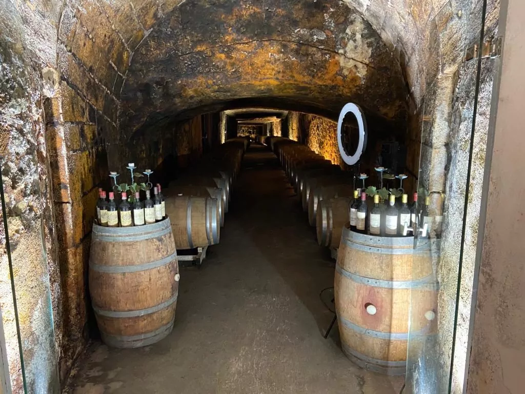 Cave vin Château de Marsan Imprimez votre futur